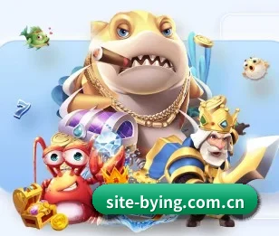 site-bying.com.cn的故事