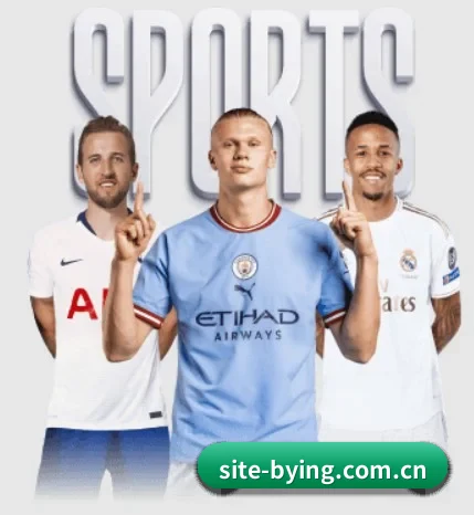 五大服务分区,信息按项目分类